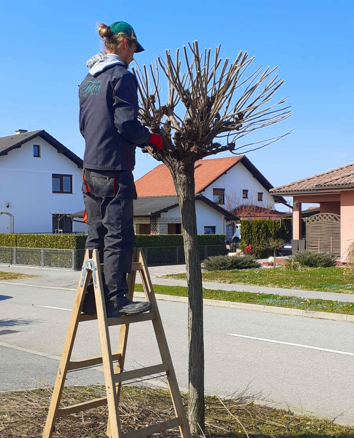 Usluge hortikulturnog uređenja